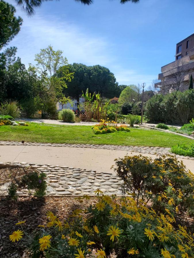 Le Grenier, Climatisation Terrasse Wi-Fi Netflix 15 Mn Coeur De Ville Béziers Eksteriør billede